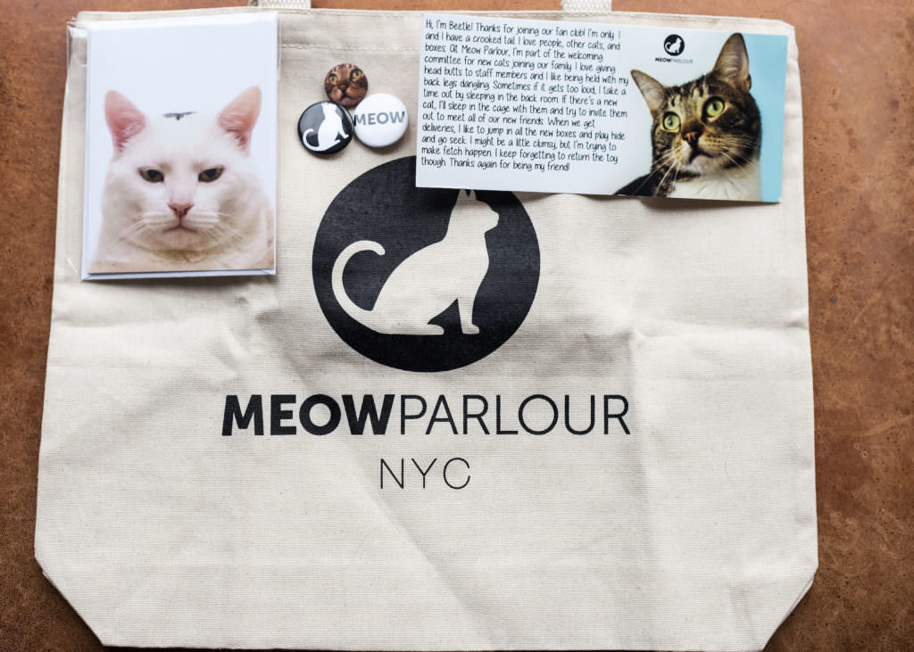 Kazu & Company - Meow Parlour Feline Fan Club
