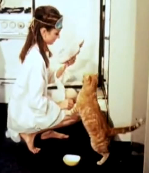 Image source: "Orangey with Audrey Hepburn in Breakfast at Tiffanys" by Paramount Pictures - http://www.youtube.com/watch?v=eJJvjGKhscA. Licensed under Public Domain via Wikimedia Commons 