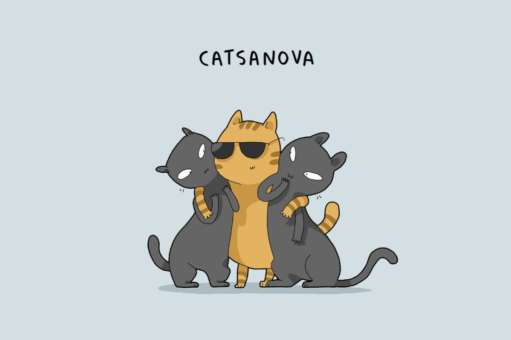 cattypes-008