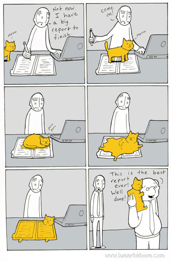 cat-comics-lunarbaboon-7