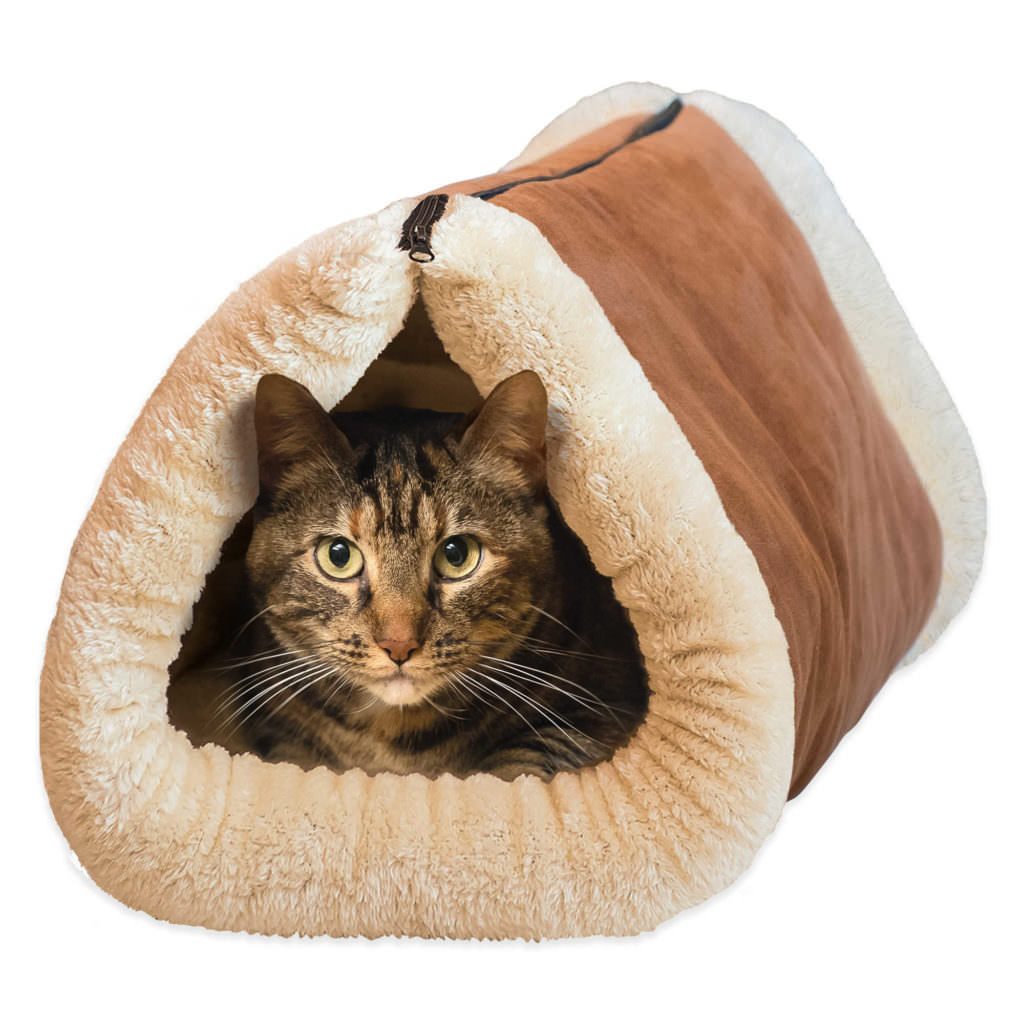 13 Cuddly Cat Beds To Keep Your Cat 