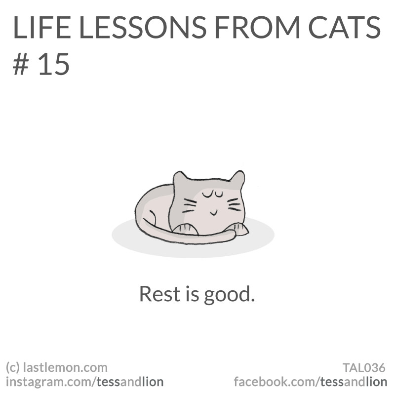 Giving Life Lessons to Stuffed Cats // Funny Cat Gifts & Gags