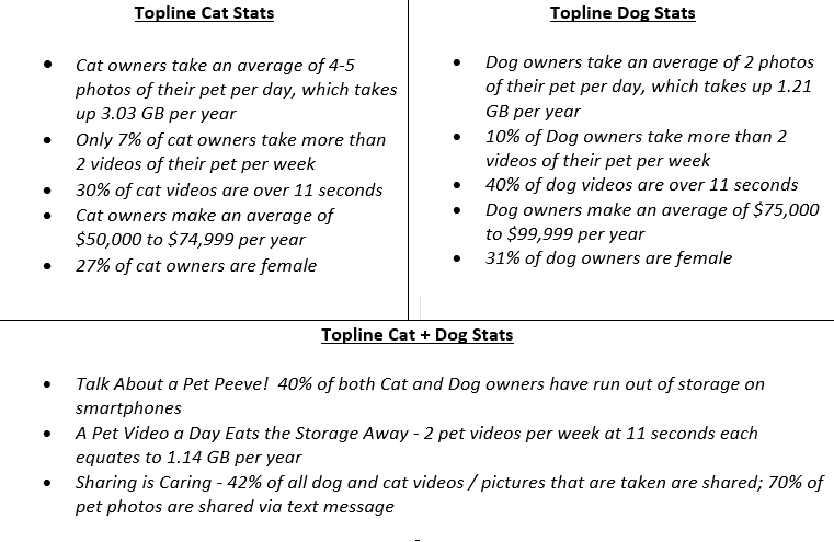 catdogsmartphone stats