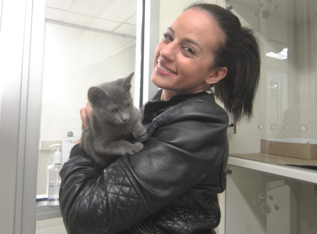 NYPD Officer Nicole Piridis of the 90th Precinct with kitten she helped rescue and has now adopted, Dmitry (renamed Apollo), at ASPCA Adoption Center.