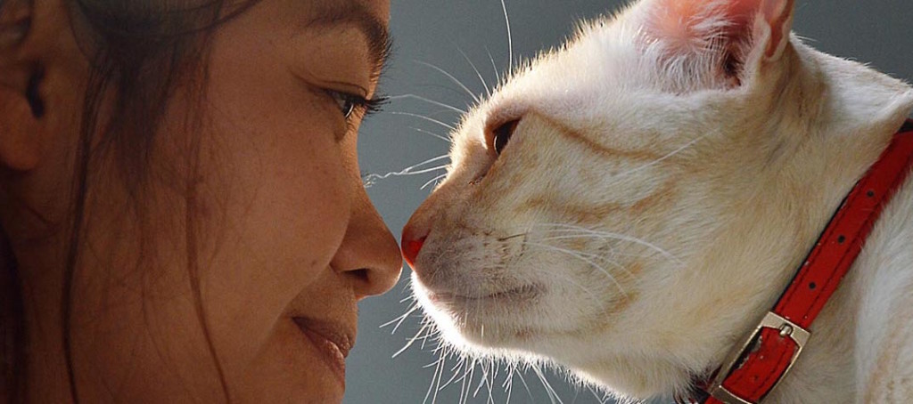 woman-and-cat-nose-to-nose