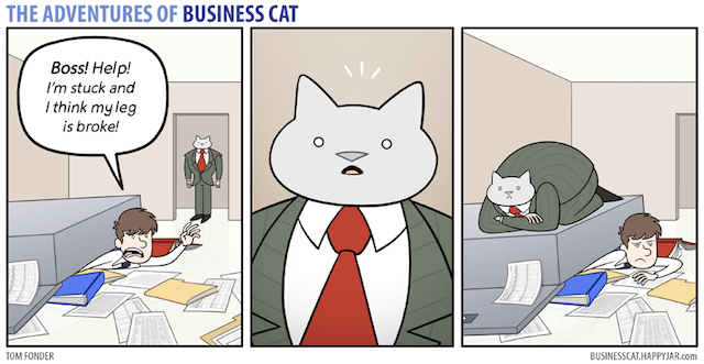 Here's What Be Like To A Cat As Your Boss...