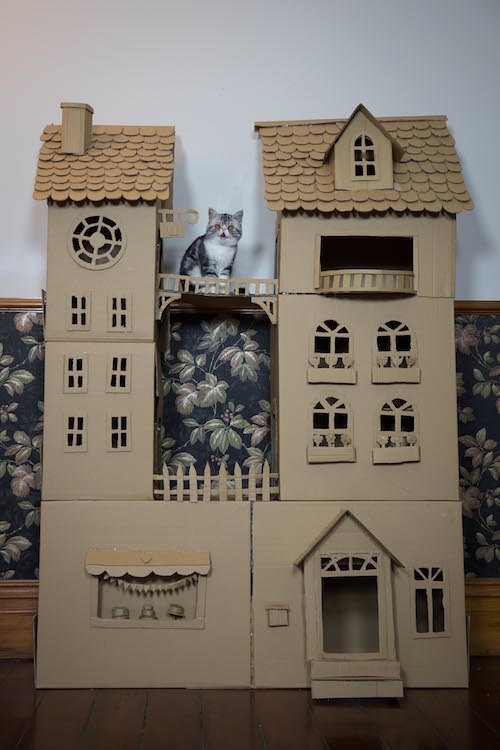 cat cardboard box house
