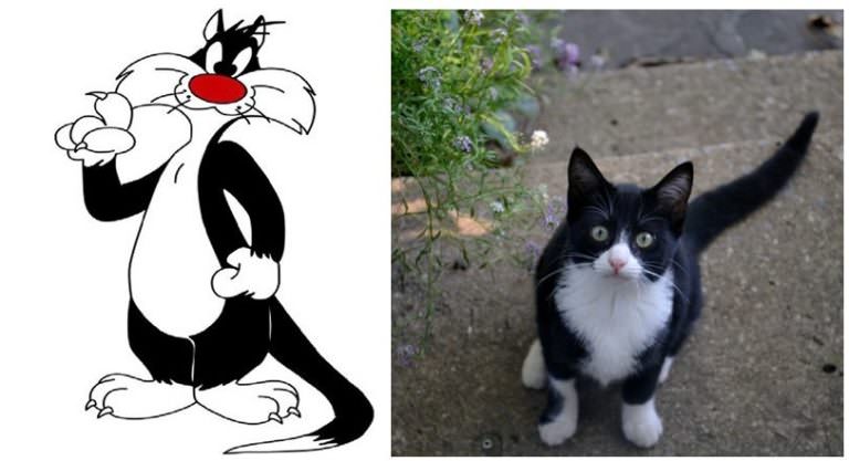 10 Iconic Cartoon Cats and Their Real-Life Counterparts