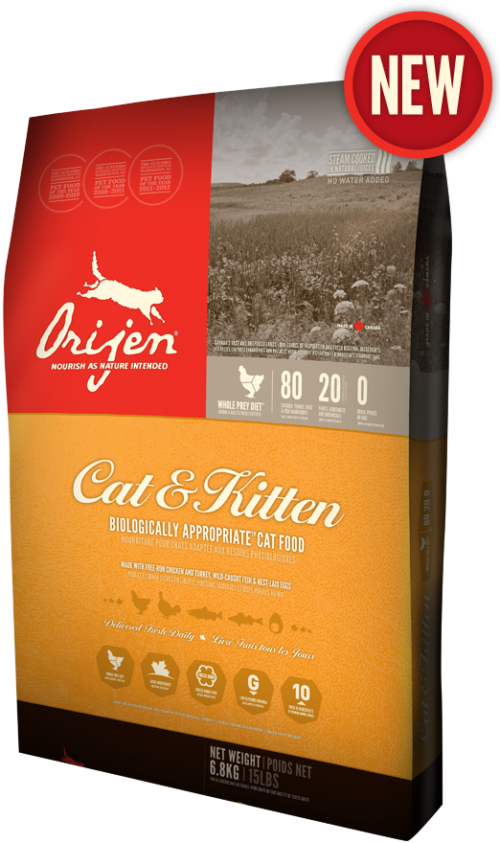 Our Top 10 Picks for the Best Cat Food