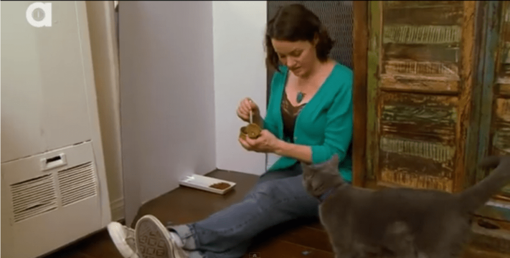 Jackson Galaxy’s 6 Steps To Properly Introduce Cats