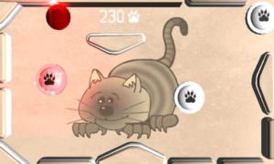 10 Tablet Apps for your Cat