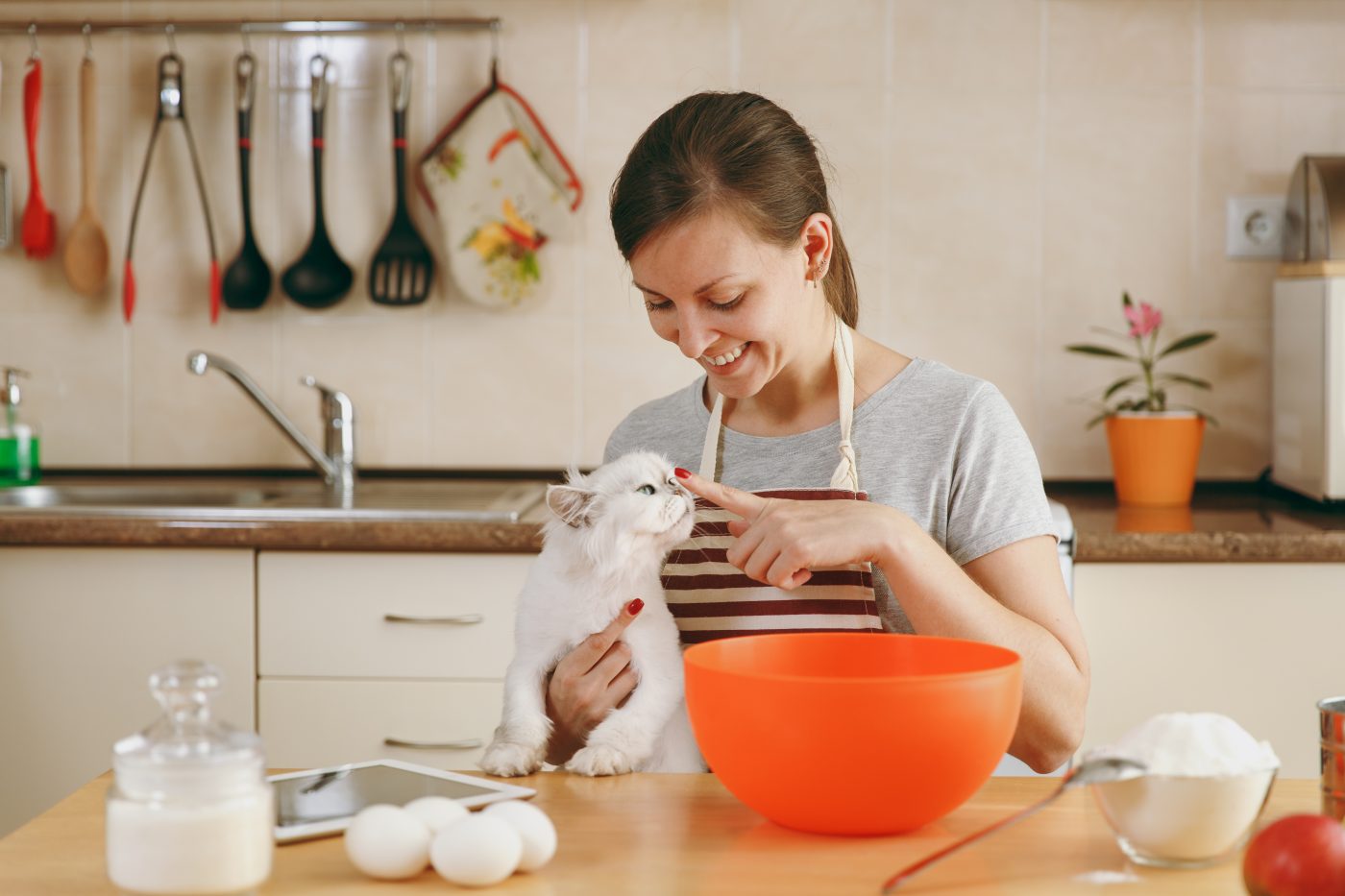 DIY cat treats