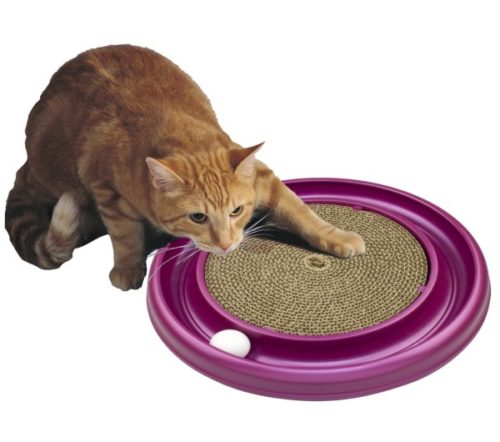 best cat toys amazon