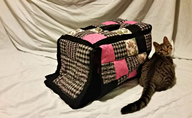 5 Awesome Accessories For Your Cat's Carrier