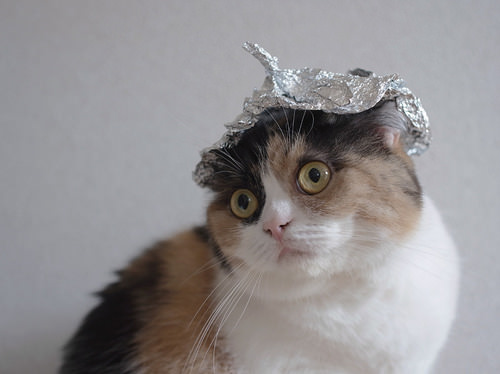 conspiracycat