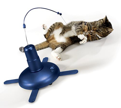 house cat toys