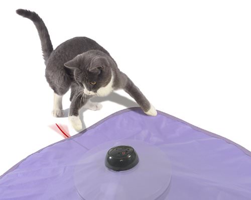 The 7 Best Battery-Operated Toys to Keep Your Cat Active