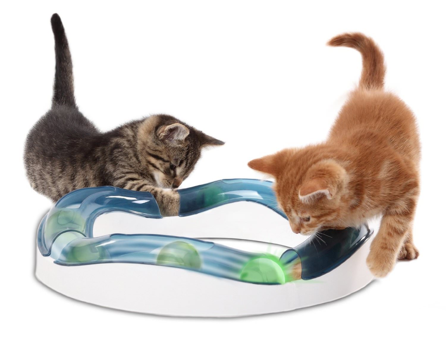 The 7 Best Battery-Operated Toys to Keep Your Cat Active – iHeartCats ...