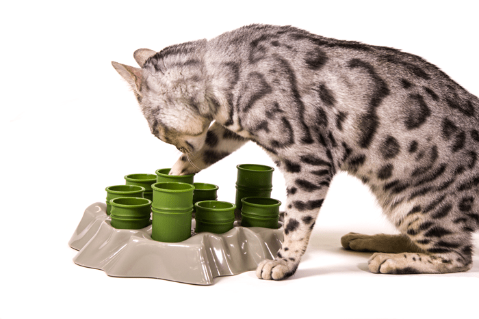 Cat Food Puzzles: How They Benefit Your Cat