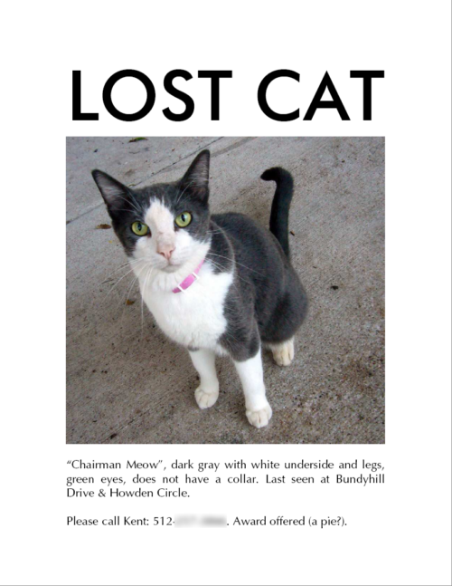 7 Tips for Finding Your Lost Cat