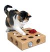 best toys for senior cats