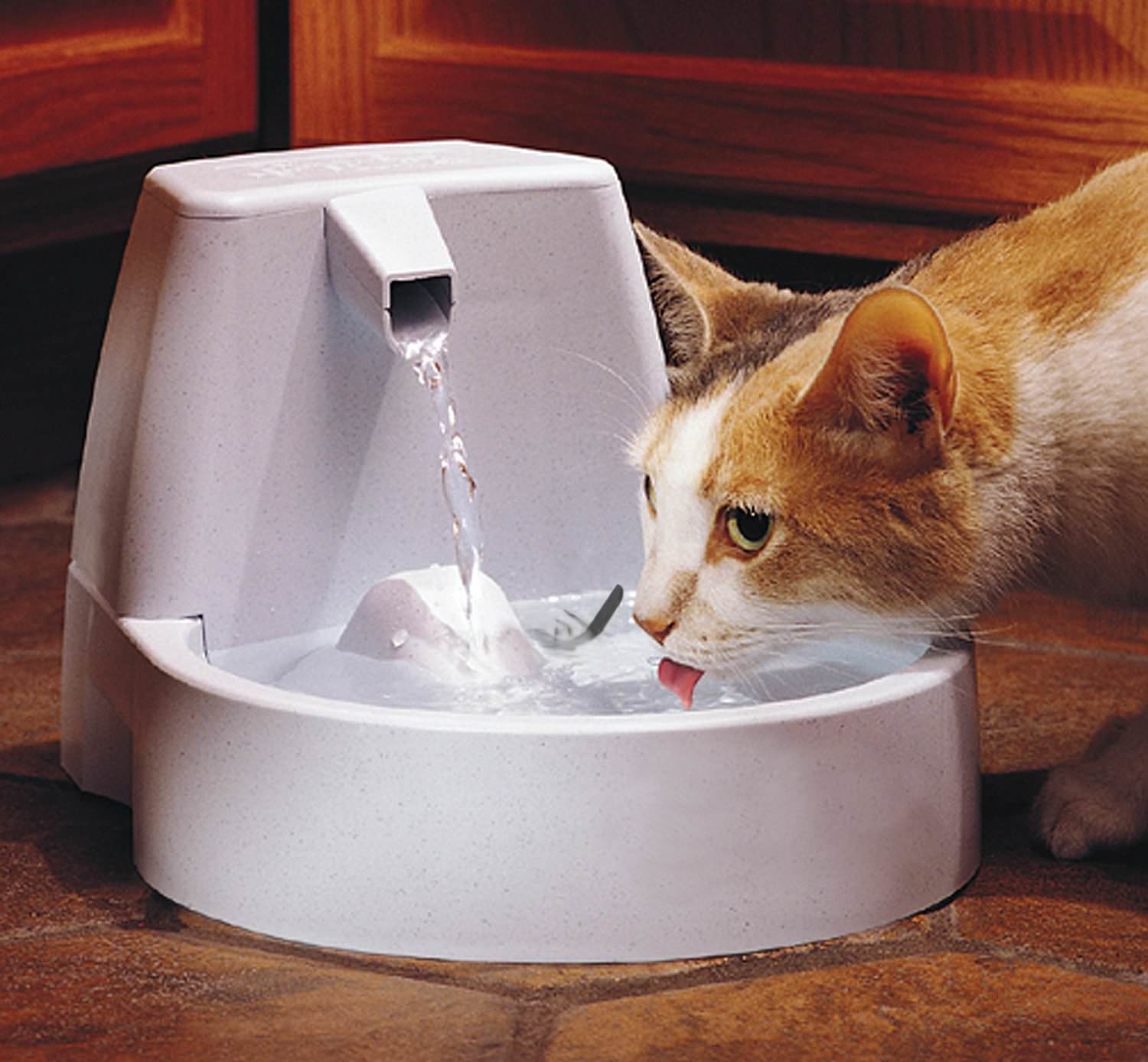 7 Ways To Get Your Cat To Drink More Water IHeartCats