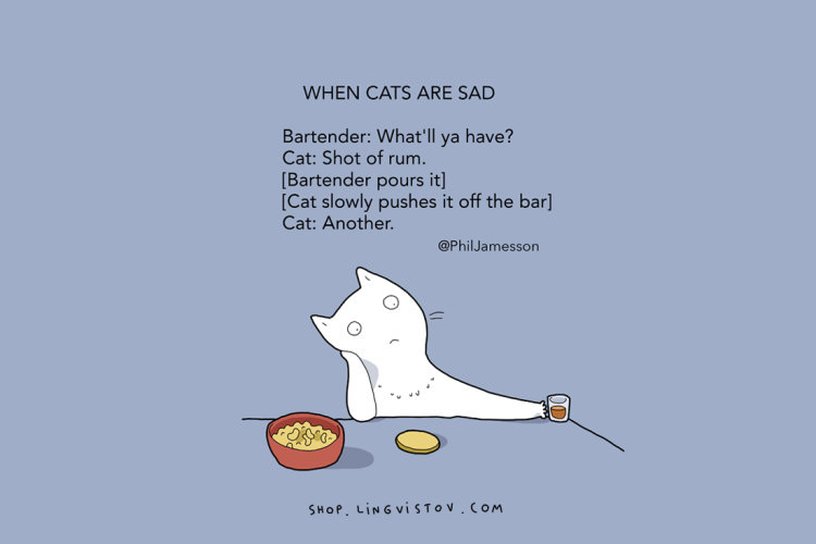 The Truth About Cats Through Some Very Entertaining Illustrations