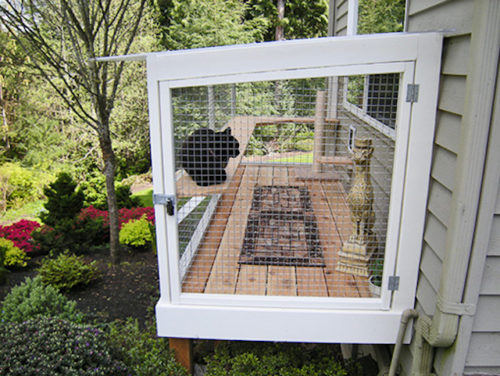 Catio Spaces Helps Cat Owners Build Safe Outdoor Havens For Their