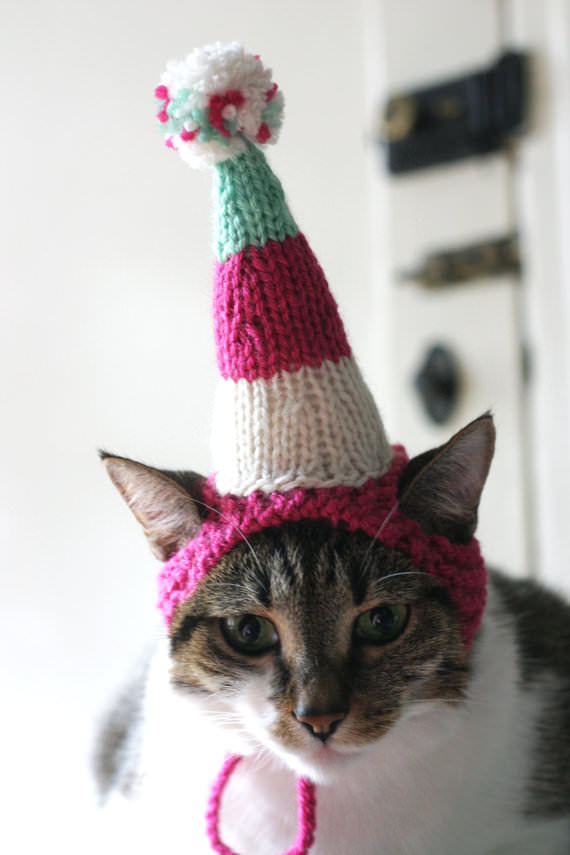Cats In Hats – The PURRFECT Cold Weather Hobby! | iHeartCats.com