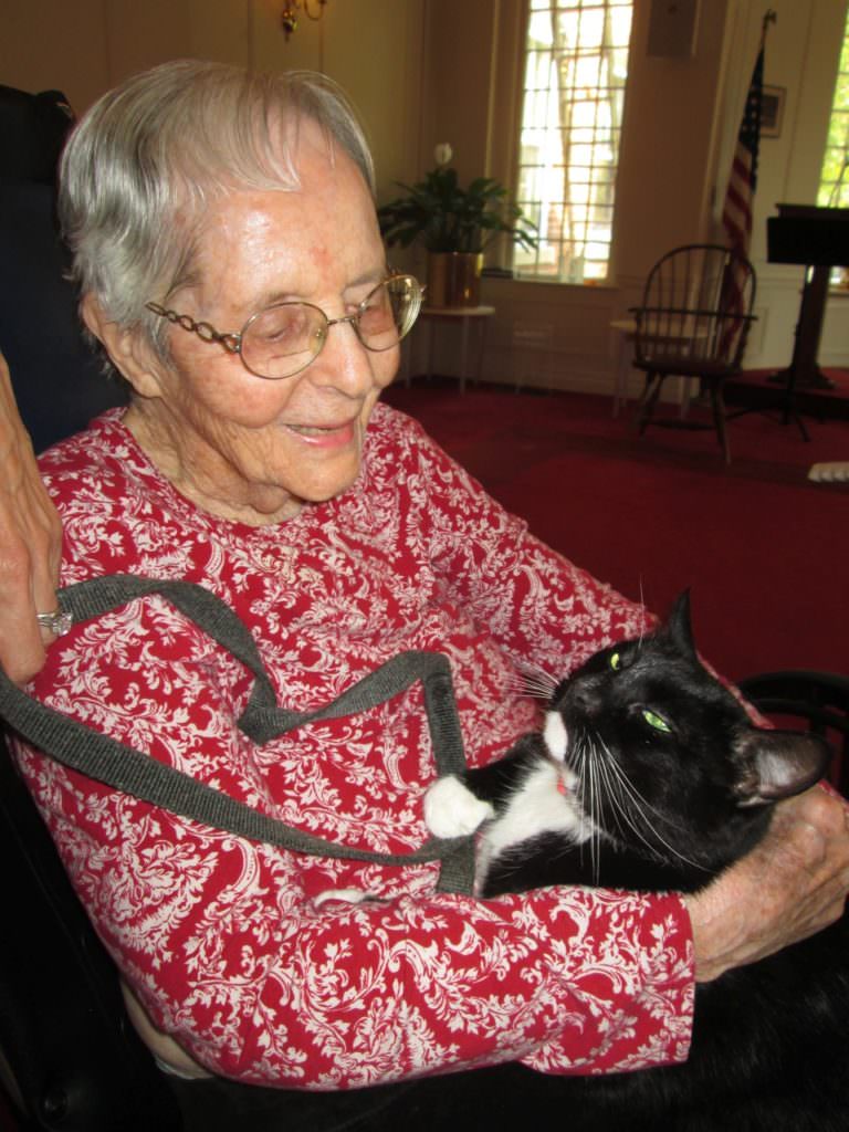 Photo: Nathaniel Witherell resident Mary Leinbach with Boots, a therapy cat owned by local volunteer Lisa Wysocki. The Nathaniel Witherell is a short-term rehab and skilled nursing center in Greenwich, CT.