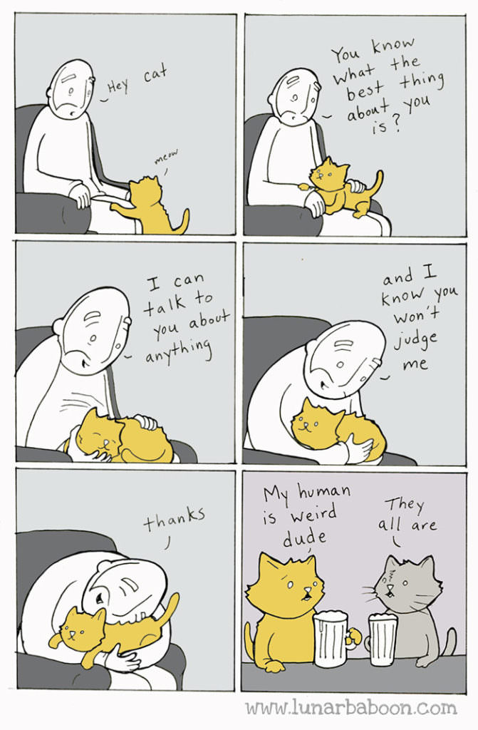 cat-comics-lunarbaboon-3