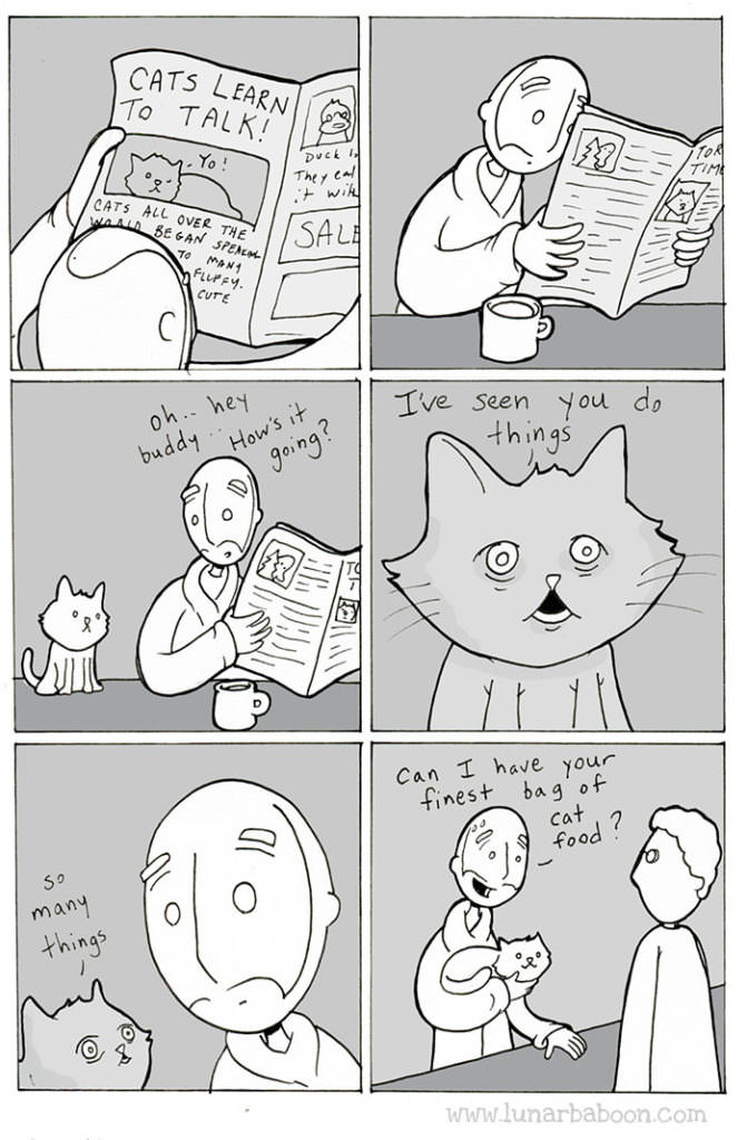 Life With Cats-These Illustrations Are Pretty Spot On! - iHeartCats.com