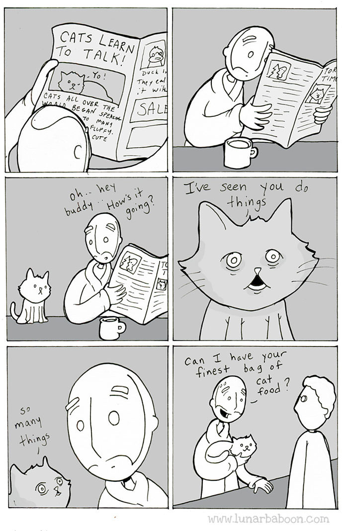 Life With Cats--These Illustrations Are Pretty Spot On!