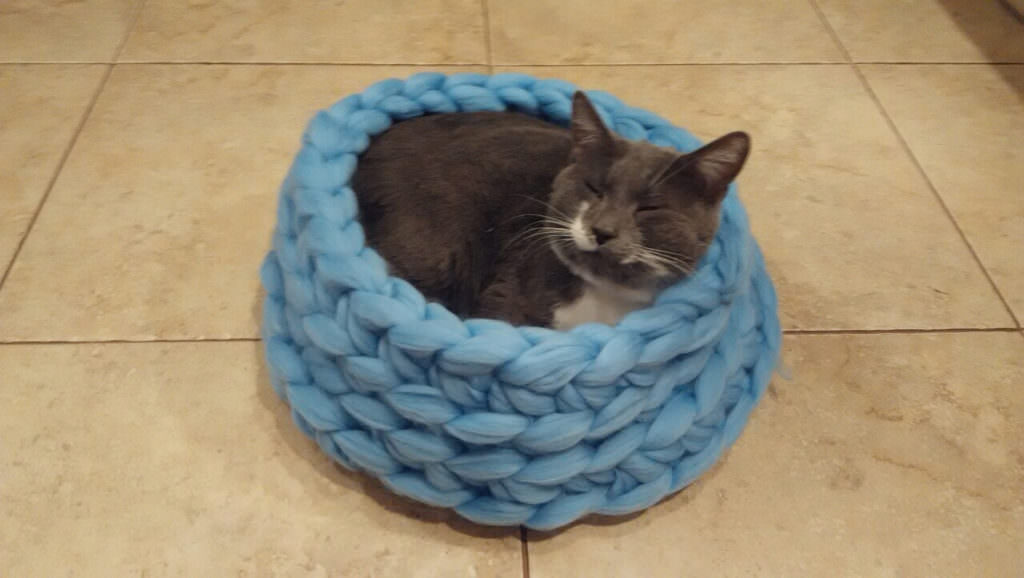 13 Cuddly Cat Beds To Keep Your Cat Warm in Winter