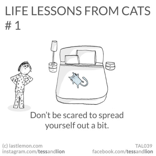 21 Hilarious, Cute And Insightful Life Lessons From Cats