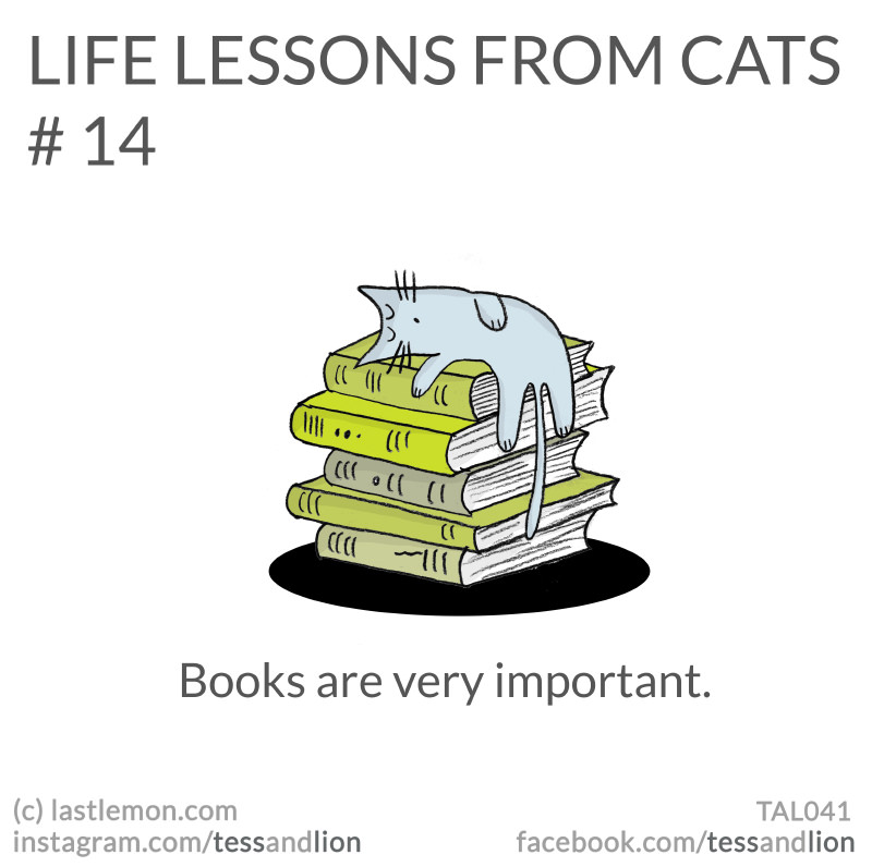 21 Hilarious, Cute And Insightful Life Lessons From Cats - iHeartCats.com