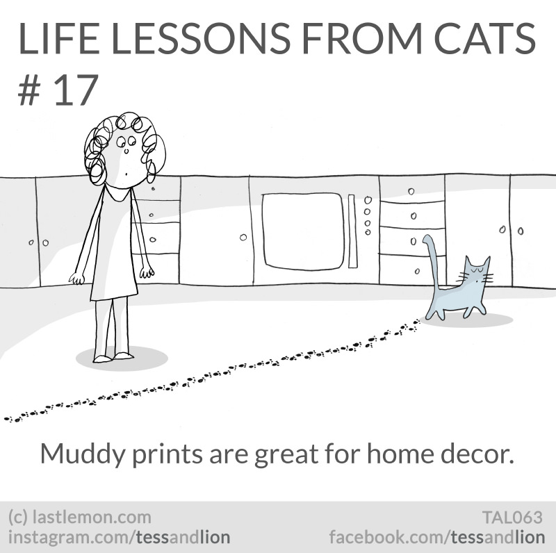 21 Hilarious, Cute And Insightful Life Lessons From Cats