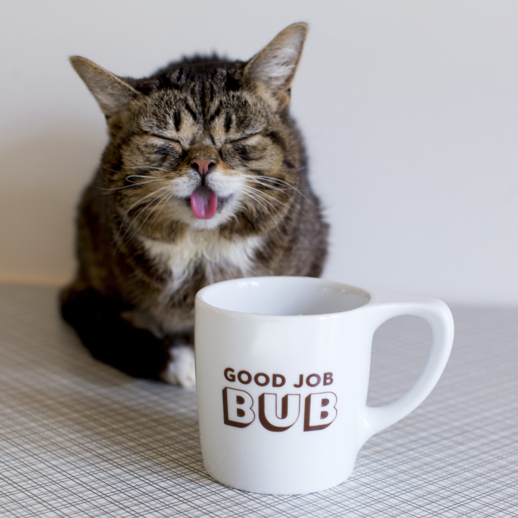 lil bub pillow