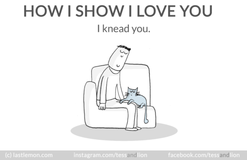 How I Show I Love You… According To Your Cat | iHeartCats.com