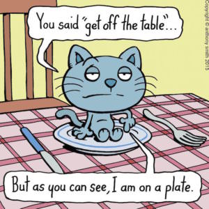 These Cartoons Perfectly Illustrate Your Cat's 