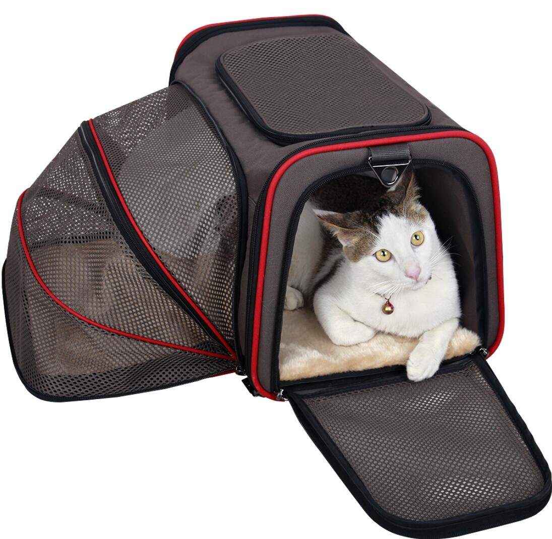 cat carrier travel tag