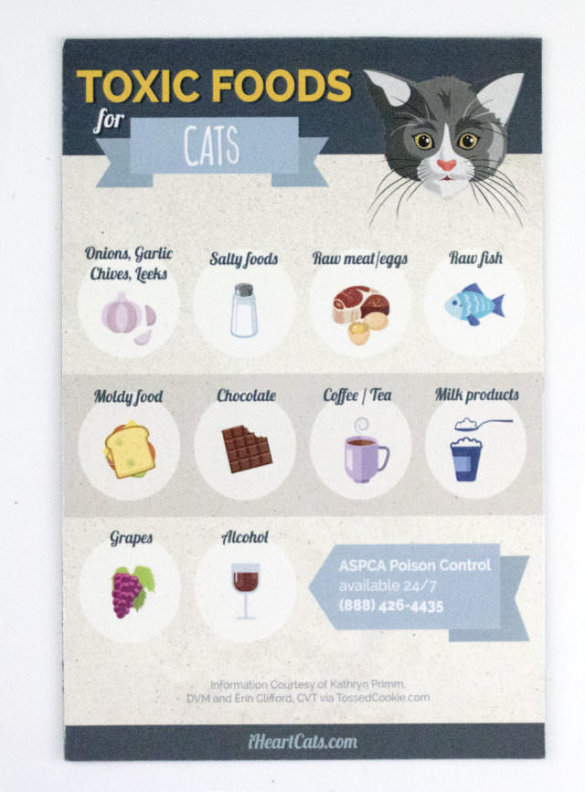 Toxic Cat Foods Magnet - iHeartCats.com