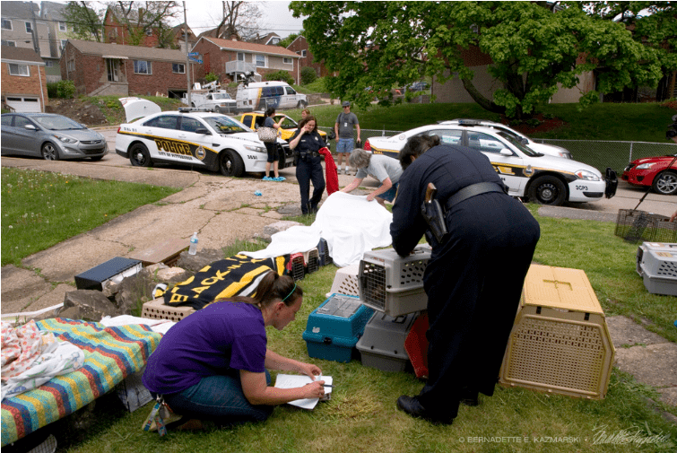 Deana Boggs and Officer Tracy Schweitzer organize cats in carriers.  Bernadette E. Kazmarski /  The Creative Cat