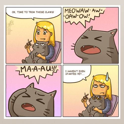 11 Awesome Comics That Perfectly Describe Life With Cats | iHeartCats.com
