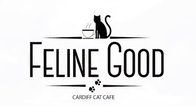 The Feline Good Cat Cafe Is Opening Soon… And They're Hiring!