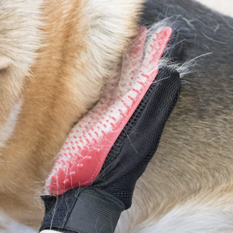 Touch Pet Grooming & Massaging Glove