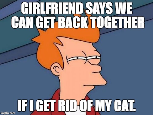 Get him back. Get back together. Cats got back.