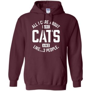 Cats and 3 People Pullover Hoodie ï¸ Deal Up To 25% Off! - iHeartCats.com