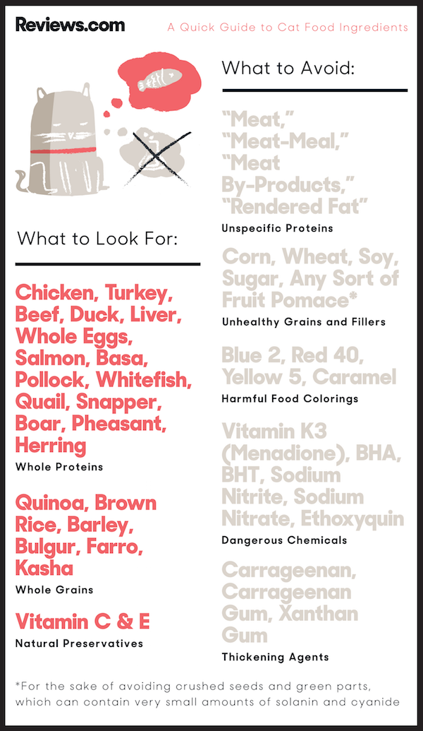 The Ingredients You Want Don t Want To See On Your Cat s Food Label