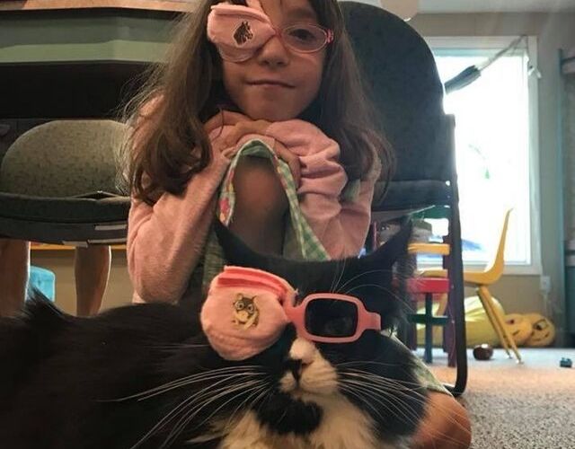 Meet Truffles, the special kitty who wears glasses to help kids feel better  about wearing theirs